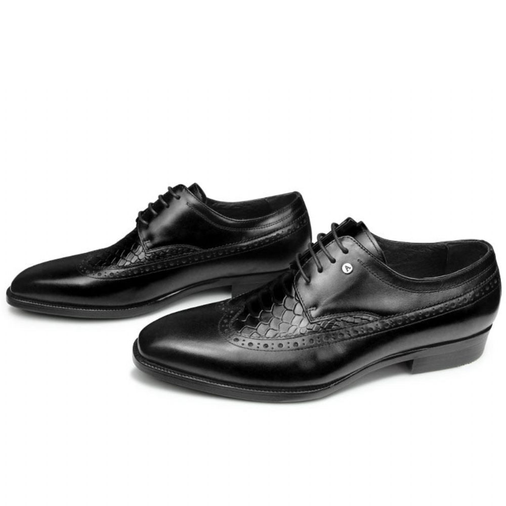 Chaussures Formelles Pour Hommes Habillées Derby Exotiques À Bout Pointu - Noir