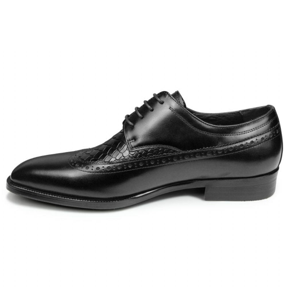 Chaussures Formelles Pour Hommes Habillées Derby Exotiques À Bout Pointu - Noir