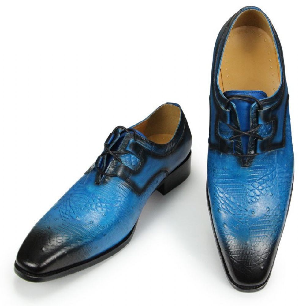 Chaussures Formelles Pour Hommes Habillées Derby À Imprimé Exotique Luxe Exquis - Bleu