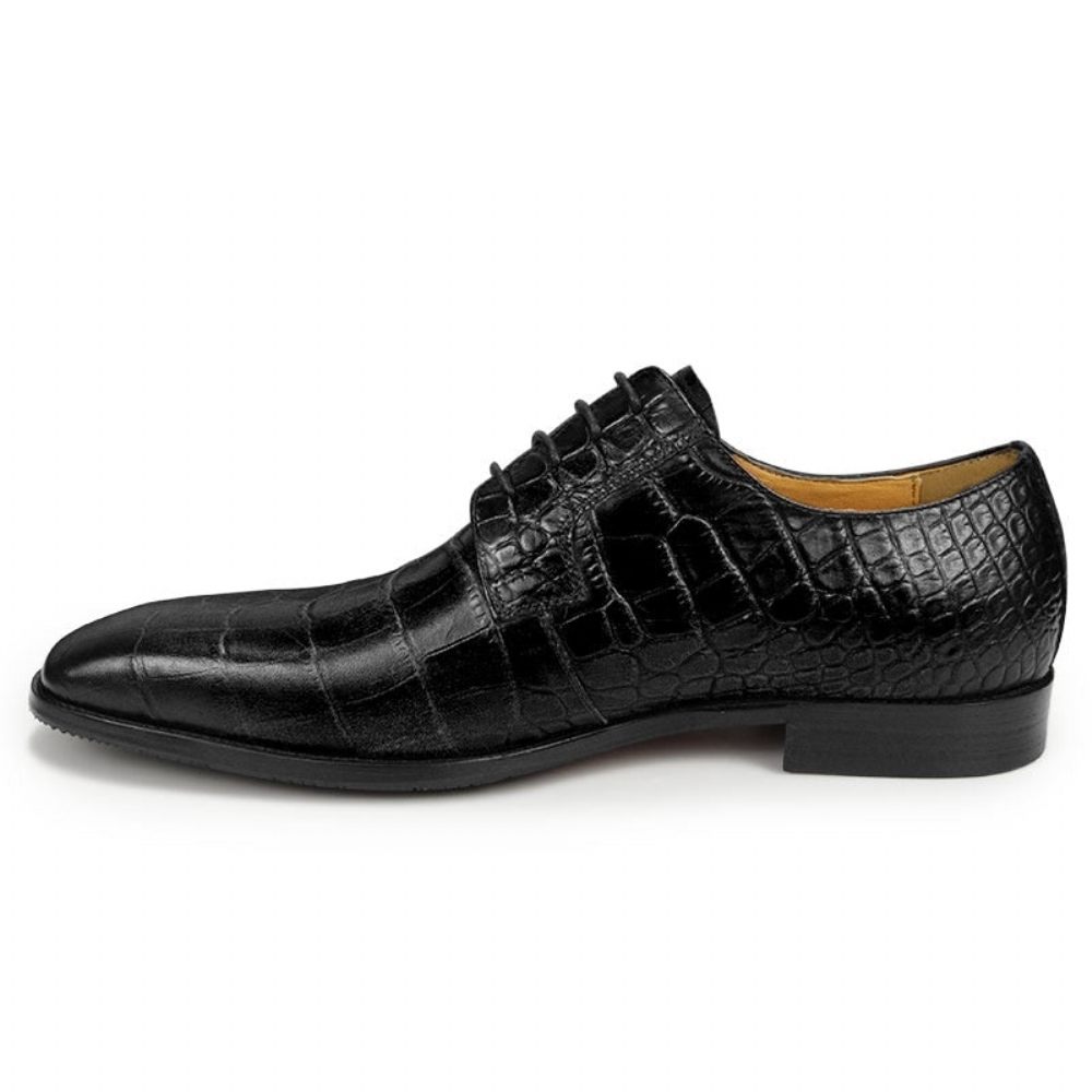 Chaussures Formelles Pour Hommes Habillées Derby À Texture Crocodile Bout Pointu