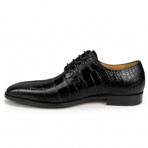 Chaussures Formelles Pour Hommes Habillées Derby À Texture Crocodile Bout Pointu