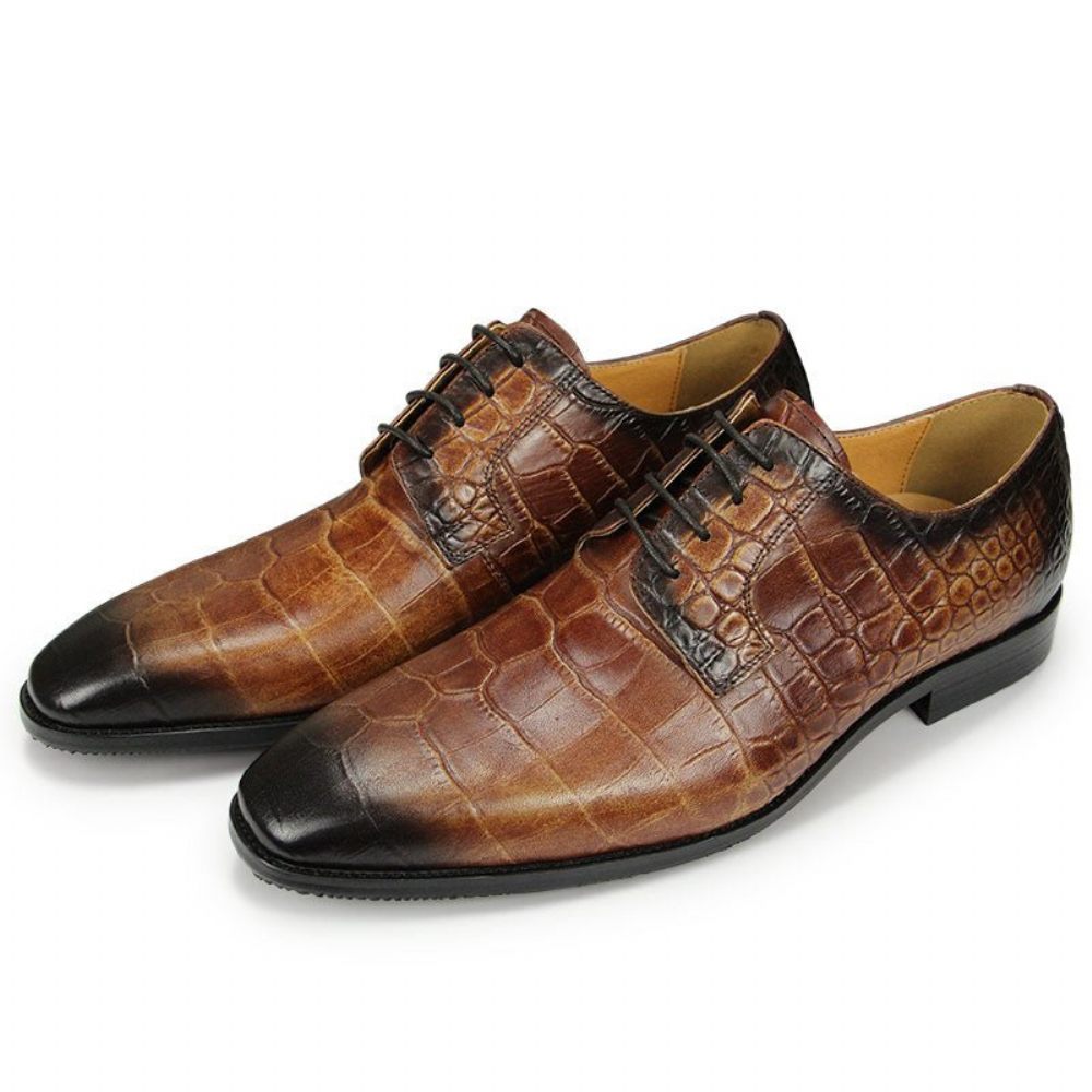 Chaussures Formelles Pour Hommes Habillées Derby À Texture Crocodile Bout Pointu - Café