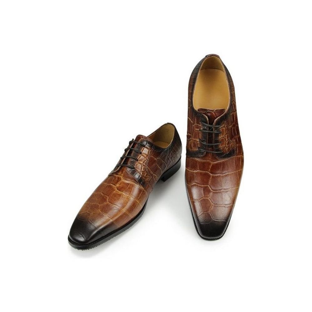 Chaussures Formelles Pour Hommes Habillées Derby À Texture Crocodile Bout Pointu - Café