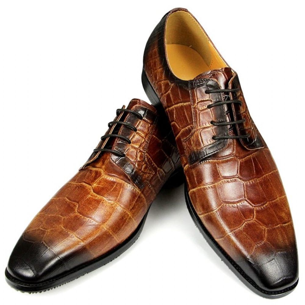 Chaussures Formelles Pour Hommes Habillées Derby À Texture Crocodile Bout Pointu - Café