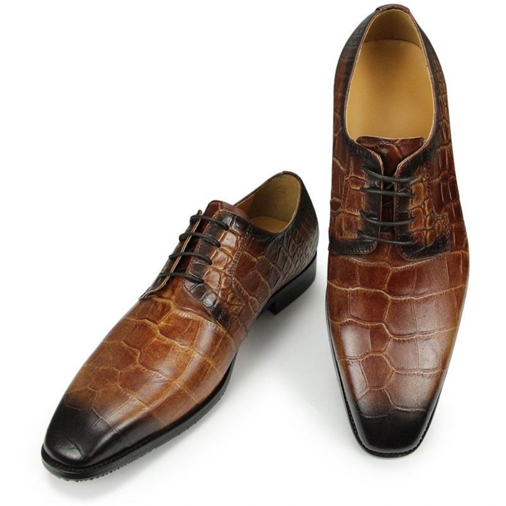 Chaussures Formelles Pour Hommes Habillées Derby À Texture Crocodile Bout Pointu - Café