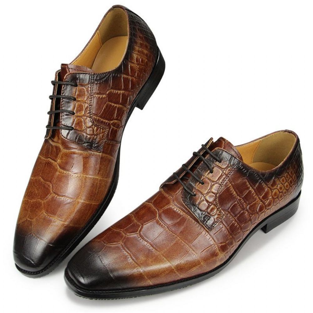 Chaussures Formelles Pour Hommes Habillées Derby À Texture Crocodile Bout Pointu - Café