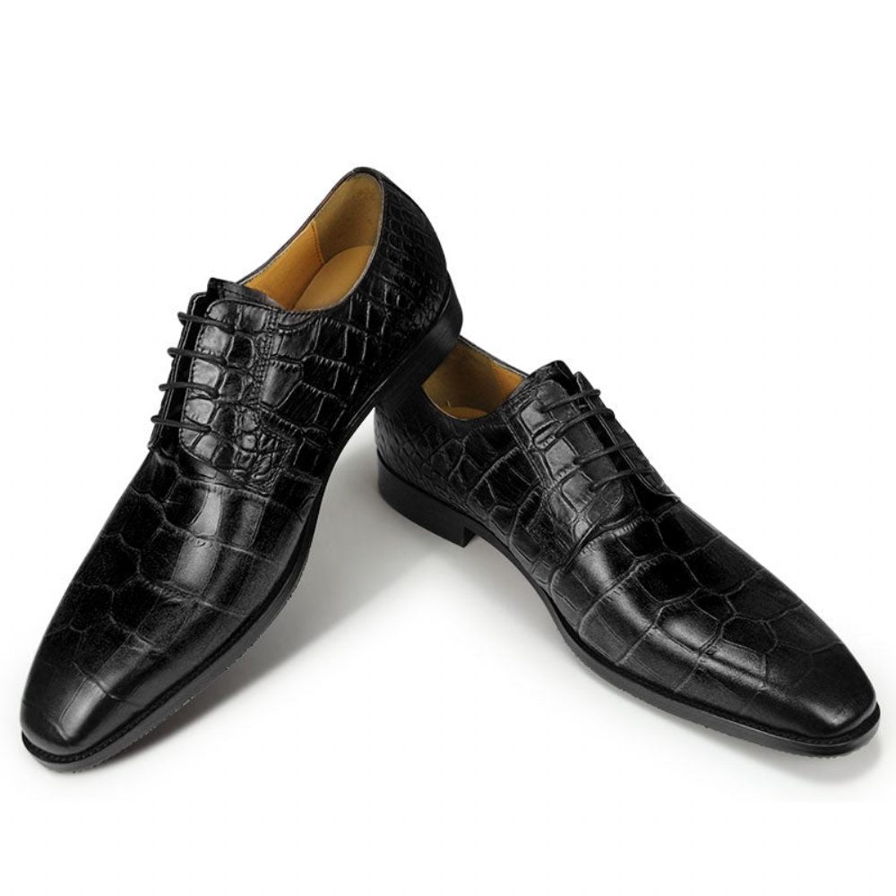 Chaussures Formelles Pour Hommes Habillées Derby À Texture Crocodile Bout Pointu - Noir