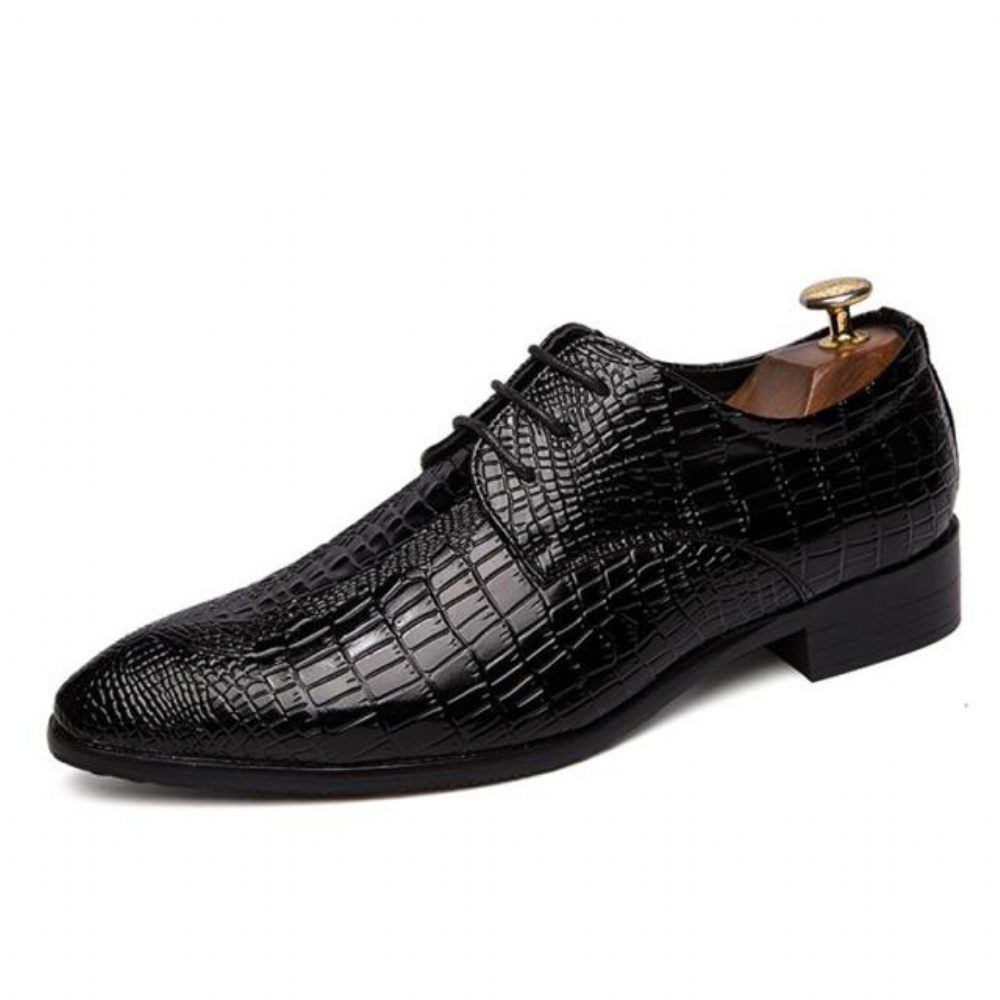 Chaussures Formelles Pour Hommes Habillées À Lacets Alligator Chic - Noir