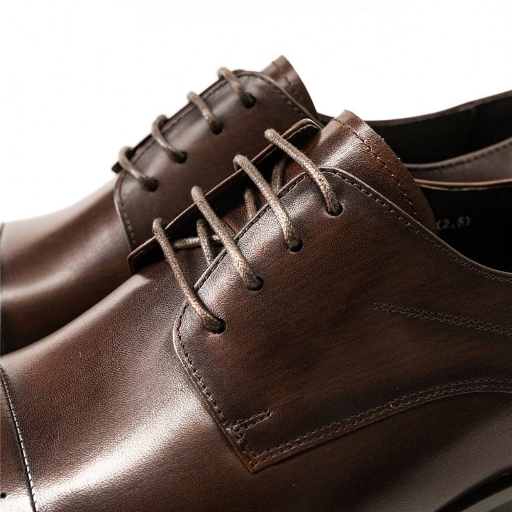 Chaussures Formelles Pour Hommes Habillées À Lacets Cuir - Café