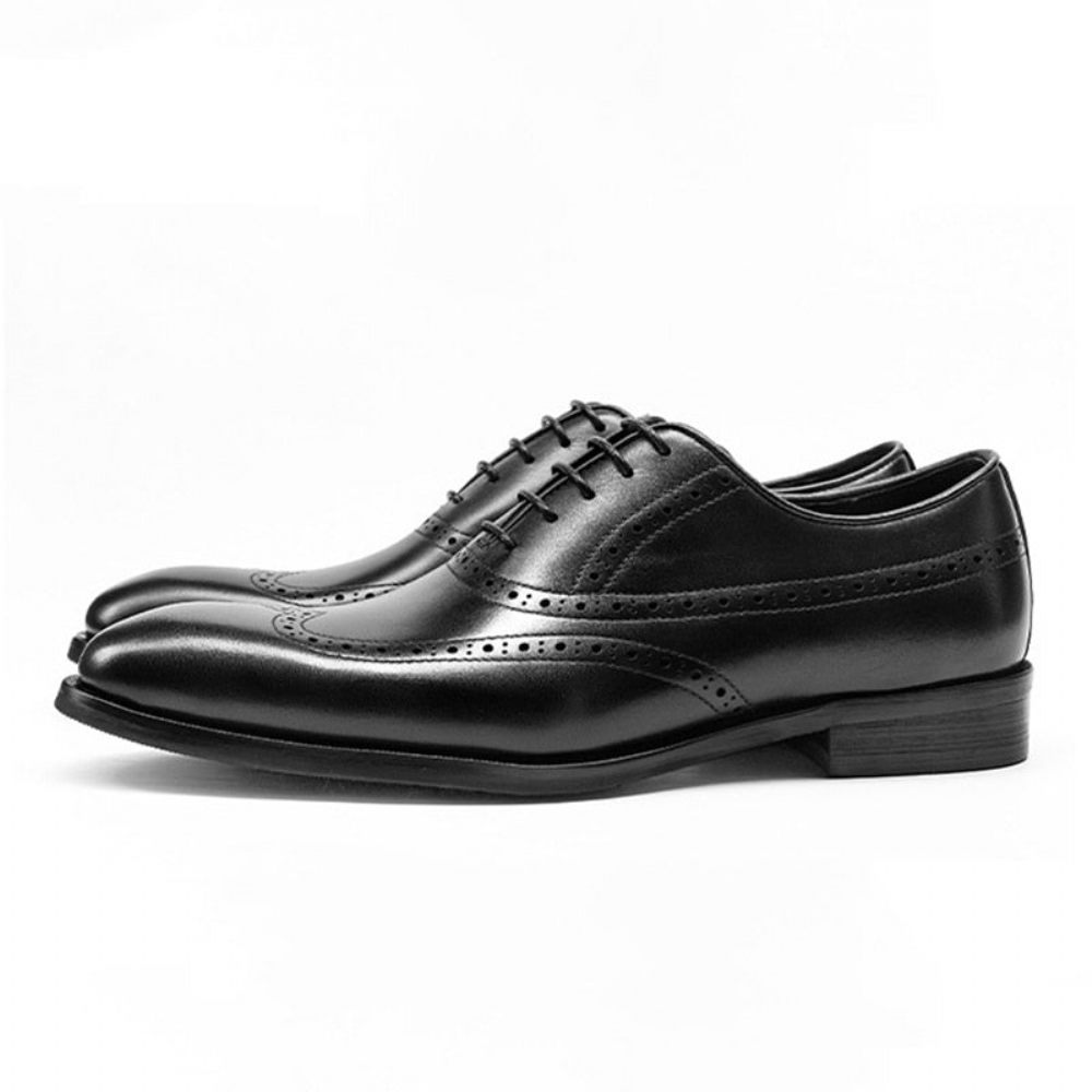 Chaussures Formelles Pour Hommes Habillées À Lacets Cuir Vache Brogue - Noir