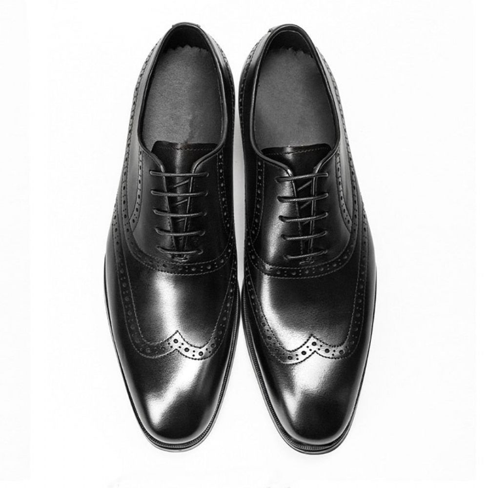 Chaussures Formelles Pour Hommes Habillées À Lacets Cuir Vache Brogue - Noir