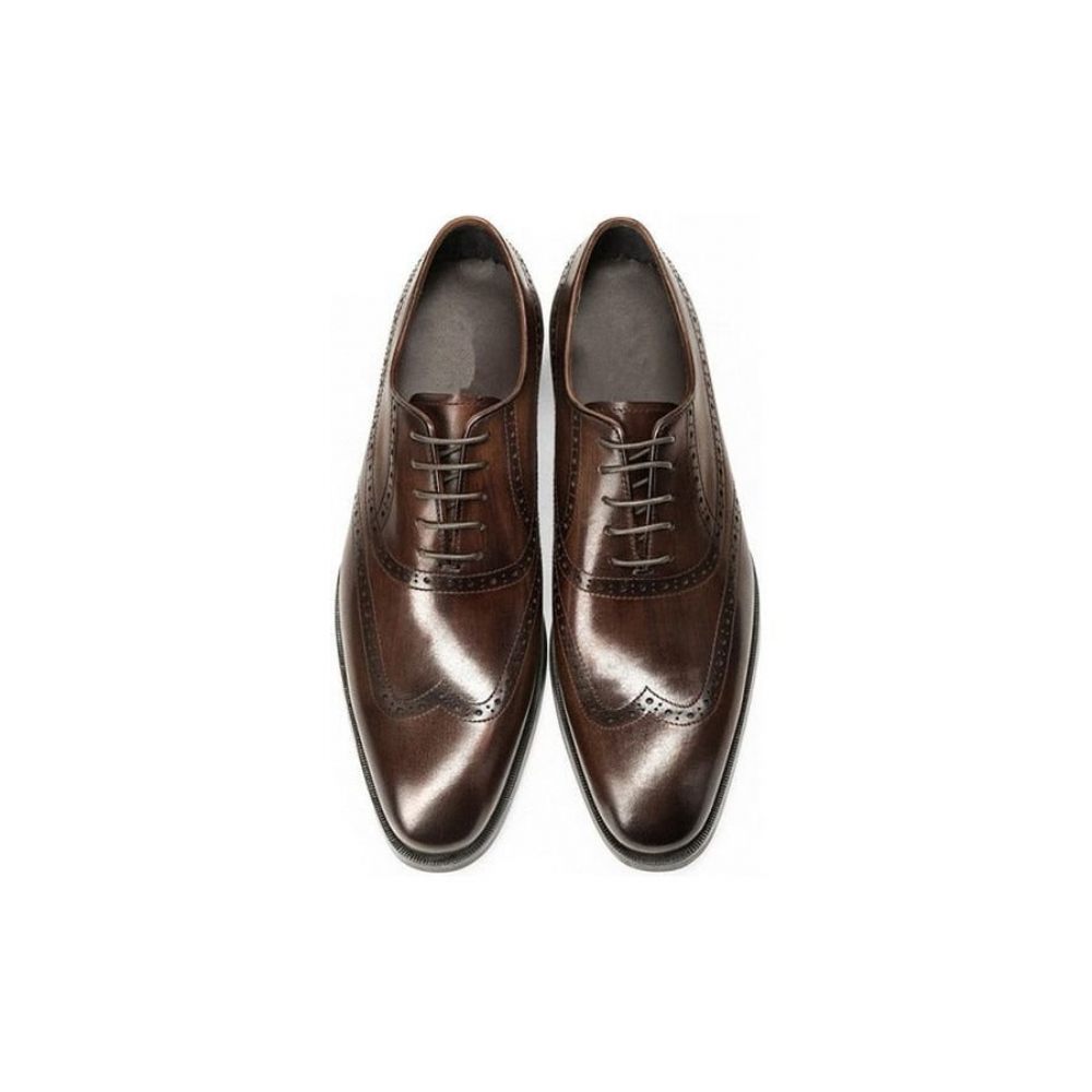 Chaussures Formelles Pour Hommes Habillées À Lacets Cuir Vache Brogue - Café