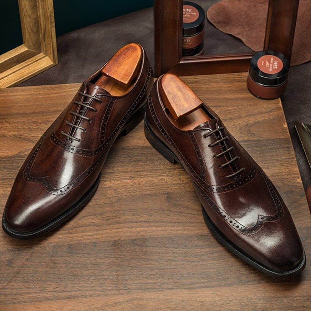 Chaussures Formelles Pour Hommes Habillées À Lacets Cuir Vache Brogue - Café