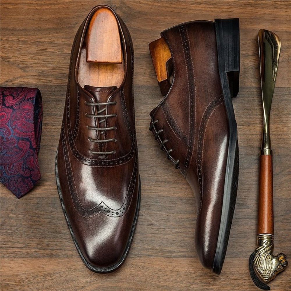 Chaussures Formelles Pour Hommes Habillées À Lacets Cuir Vache Brogue - Café