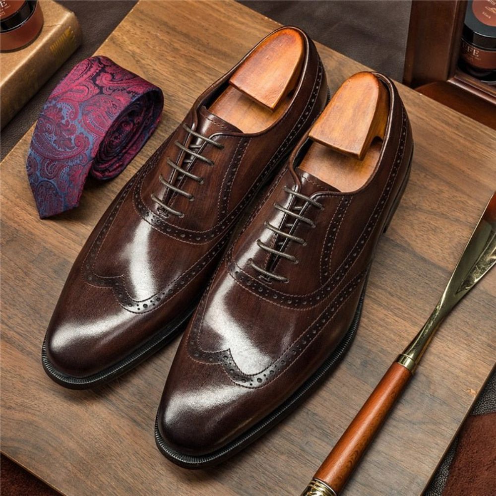 Chaussures Formelles Pour Hommes Habillées À Lacets Cuir Vache Brogue - Café