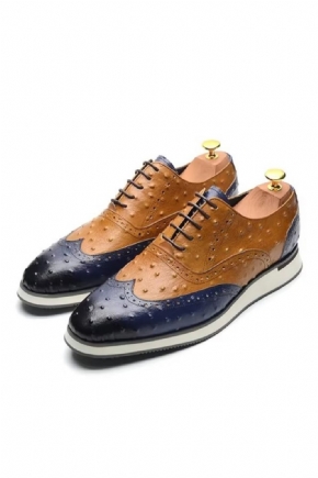 Chaussures Formelles Pour Hommes Habillées À Lacets Cuir Vache Urbane