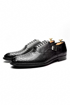 Chaussures Formelles Pour Hommes Habillées À Lacets Sophistication Urbaine