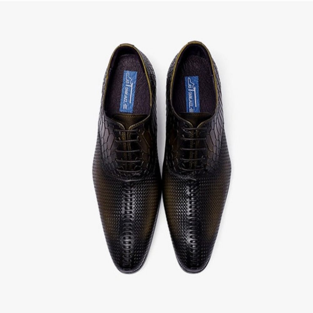 Chaussures Formelles Pour Hommes Habillées Luxe Opulentes À Bout Pointu - Noir