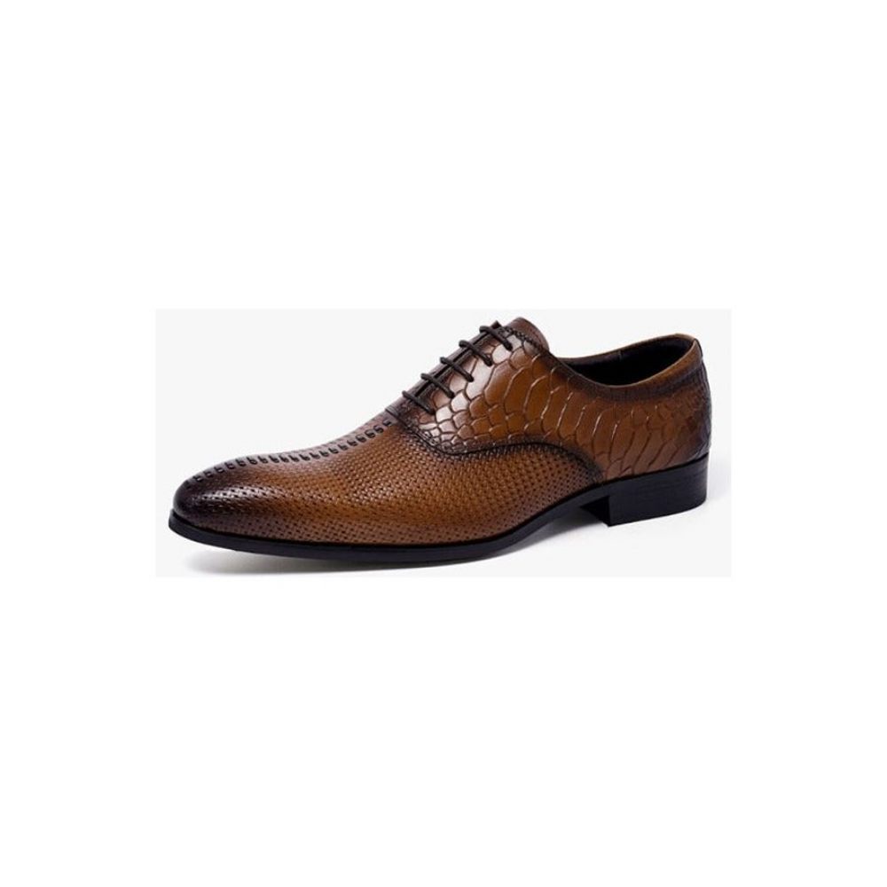 Chaussures Formelles Pour Hommes Habillées Luxe Opulentes À Bout Pointu - Café