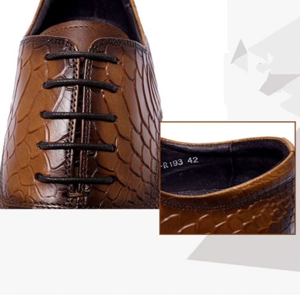 Chaussures Formelles Pour Hommes Habillées Luxe Opulentes À Bout Pointu - Café