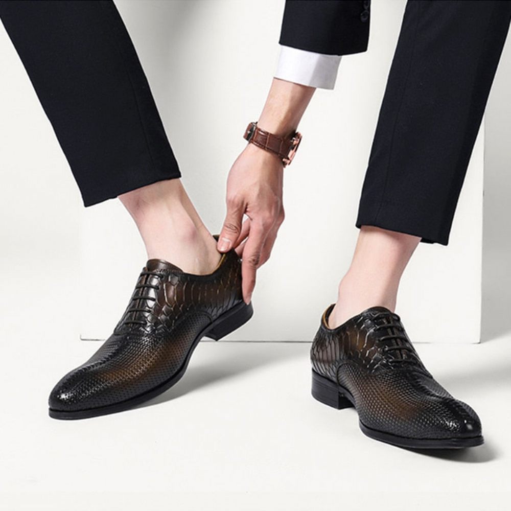 Chaussures Formelles Pour Hommes Habillées Luxe Opulentes À Bout Pointu - Marron