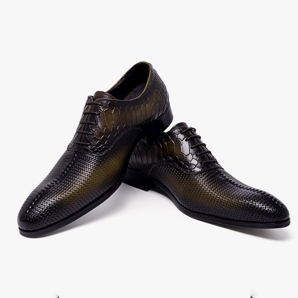 Chaussures Formelles Pour Hommes Habillées Luxe Opulentes À Bout Pointu - Marron