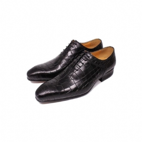 Chaussures Formelles Pour Hommes Habillées Opulent Crocprint Oxford