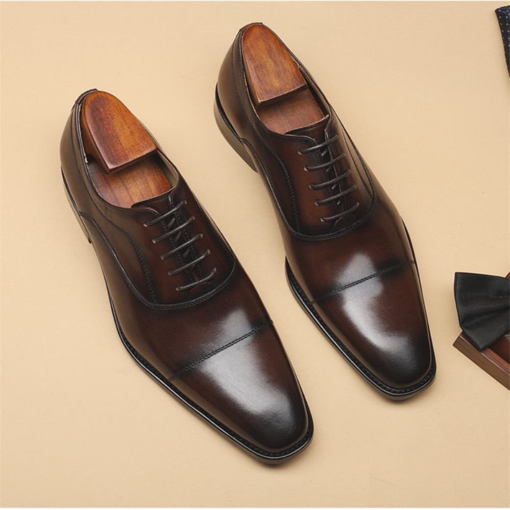 Chaussures Formelles Pour Hommes Habillées Opulentes À Motif Exotique Oxford - Café