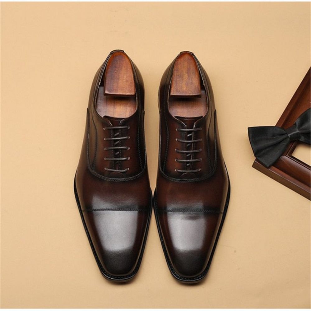 Chaussures Formelles Pour Hommes Habillées Opulentes À Motif Exotique Oxford - Café