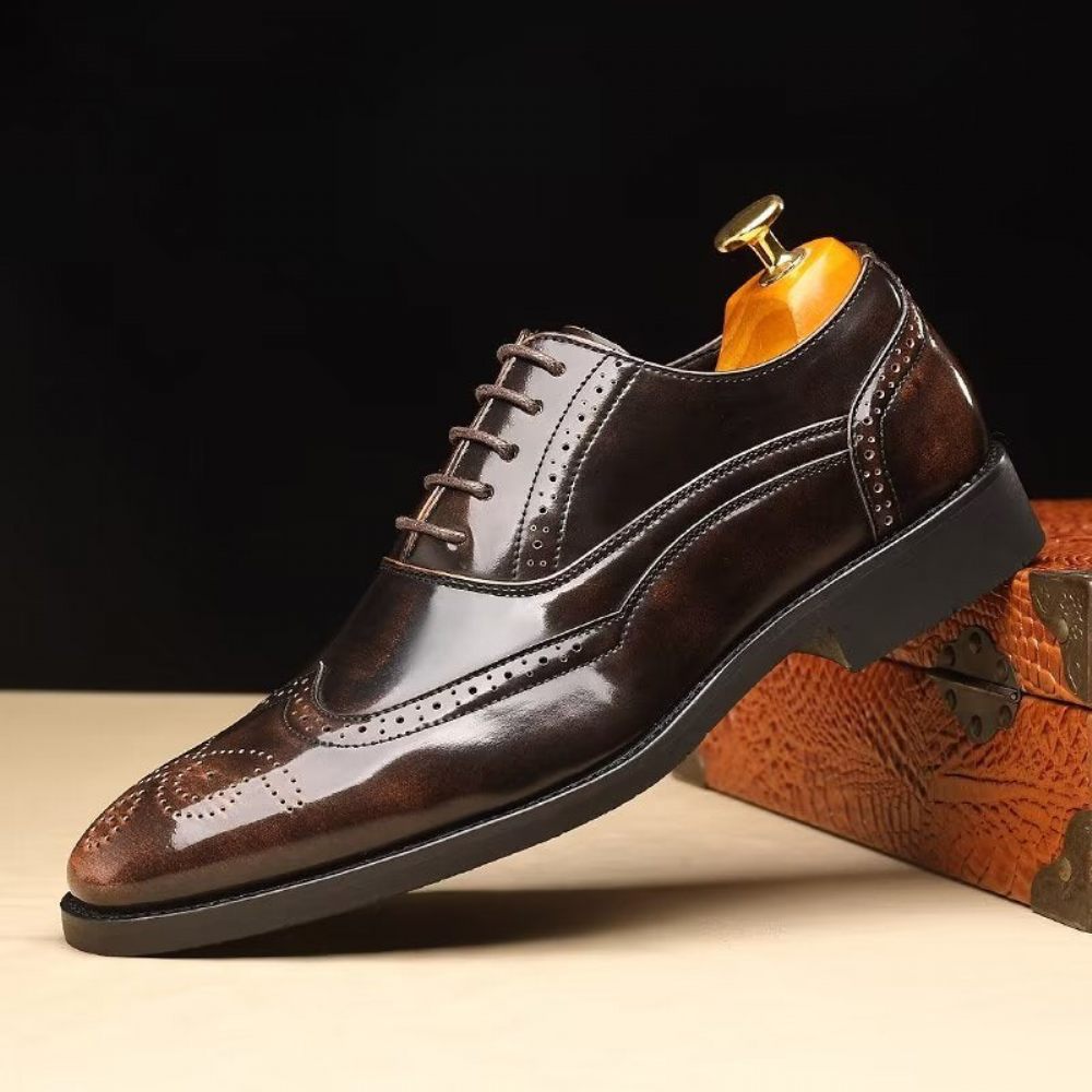 Chaussures Formelles Pour Hommes Habillées Oxford À Bout Pointu Opulentes - Café