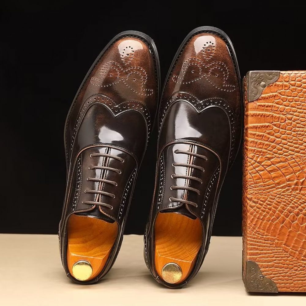 Chaussures Formelles Pour Hommes Habillées Oxford À Bout Pointu Opulentes - Café