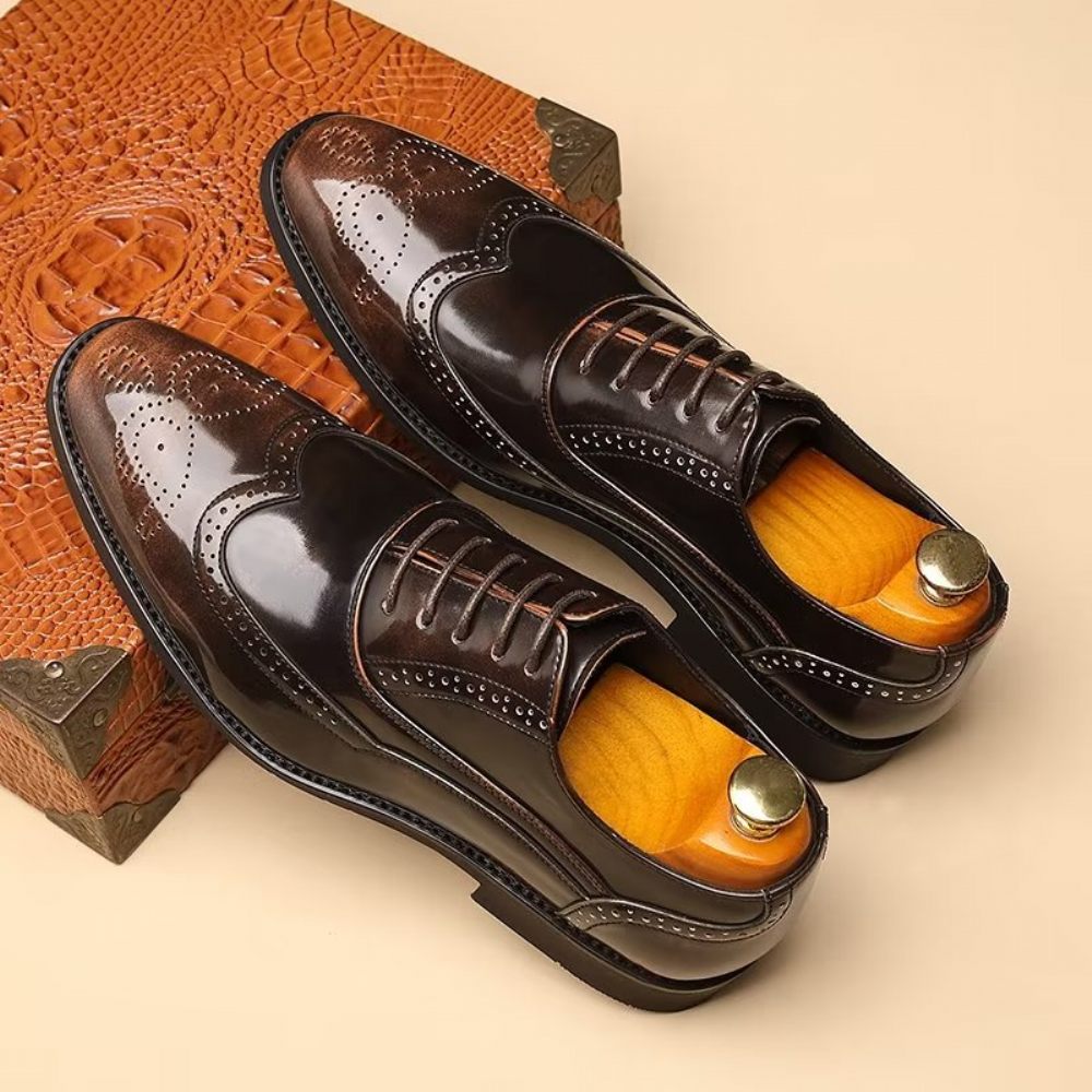 Chaussures Formelles Pour Hommes Habillées Oxford À Bout Pointu Opulentes - Café