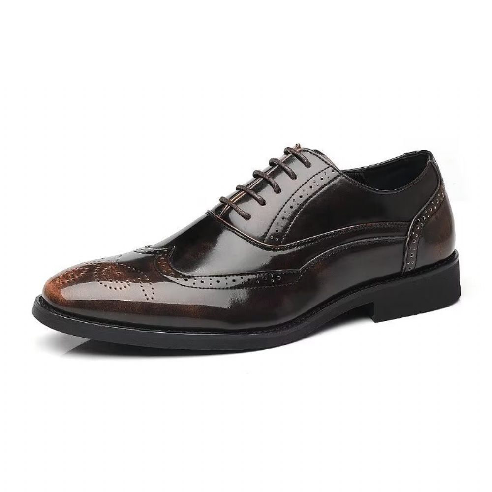 Chaussures Formelles Pour Hommes Habillées Oxford À Bout Pointu Opulentes - Café