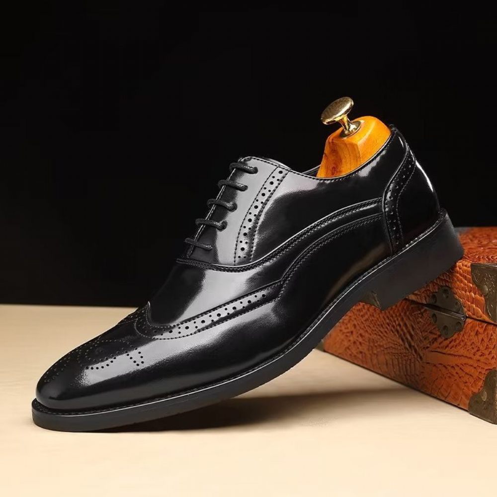 Chaussures Formelles Pour Hommes Habillées Oxford À Bout Pointu Opulentes - Noir