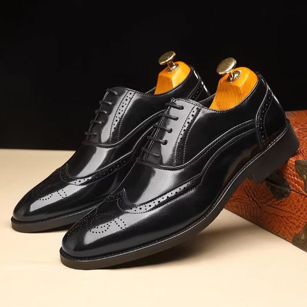 Chaussures Formelles Pour Hommes Habillées Oxford À Bout Pointu Opulentes - Noir