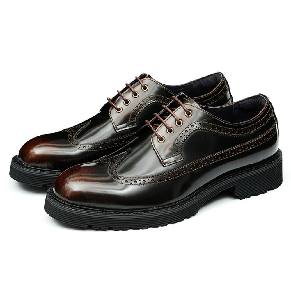 Chaussures Formelles Pour Hommes Habillées Oxford Brogue Luxe - Café