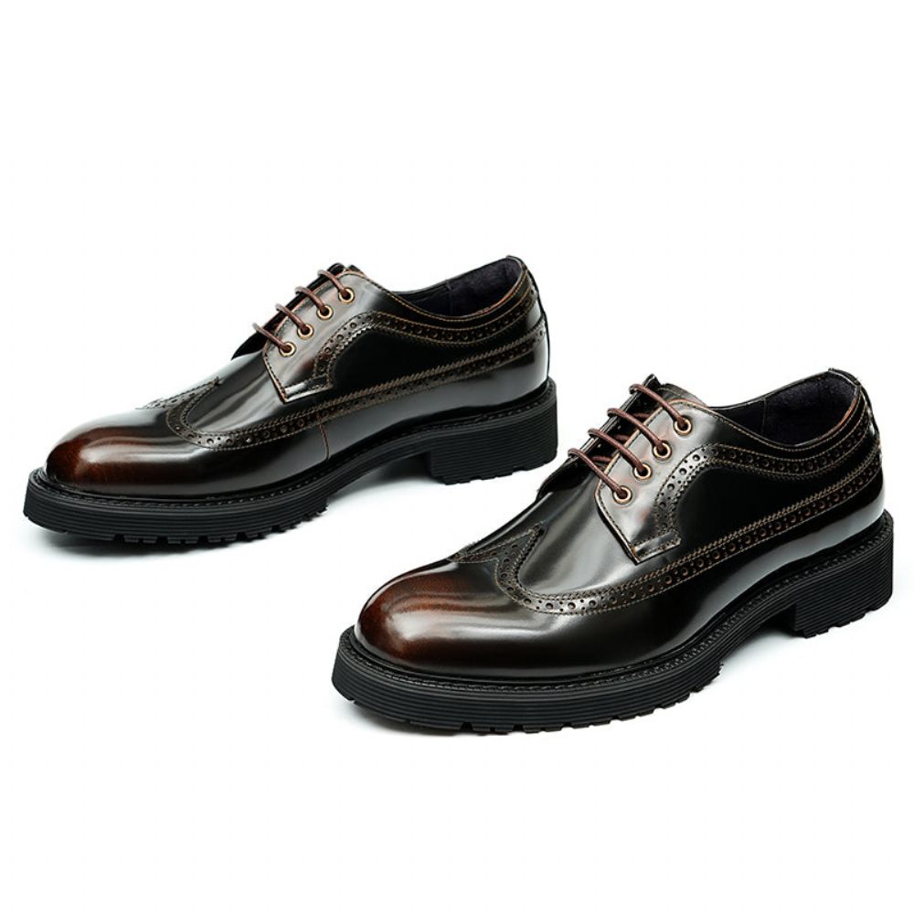 Chaussures Formelles Pour Hommes Habillées Oxford Brogue Luxe - Café