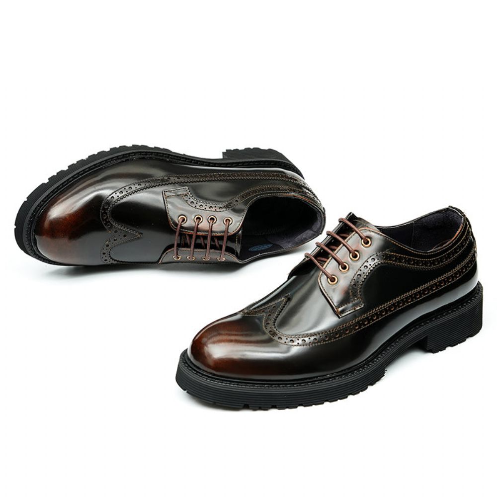 Chaussures Formelles Pour Hommes Habillées Oxford Brogue Luxe - Café