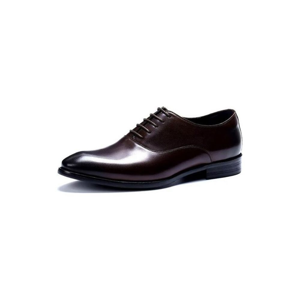 Chaussures Formelles Pour Hommes Habillées Oxford Chics - Café