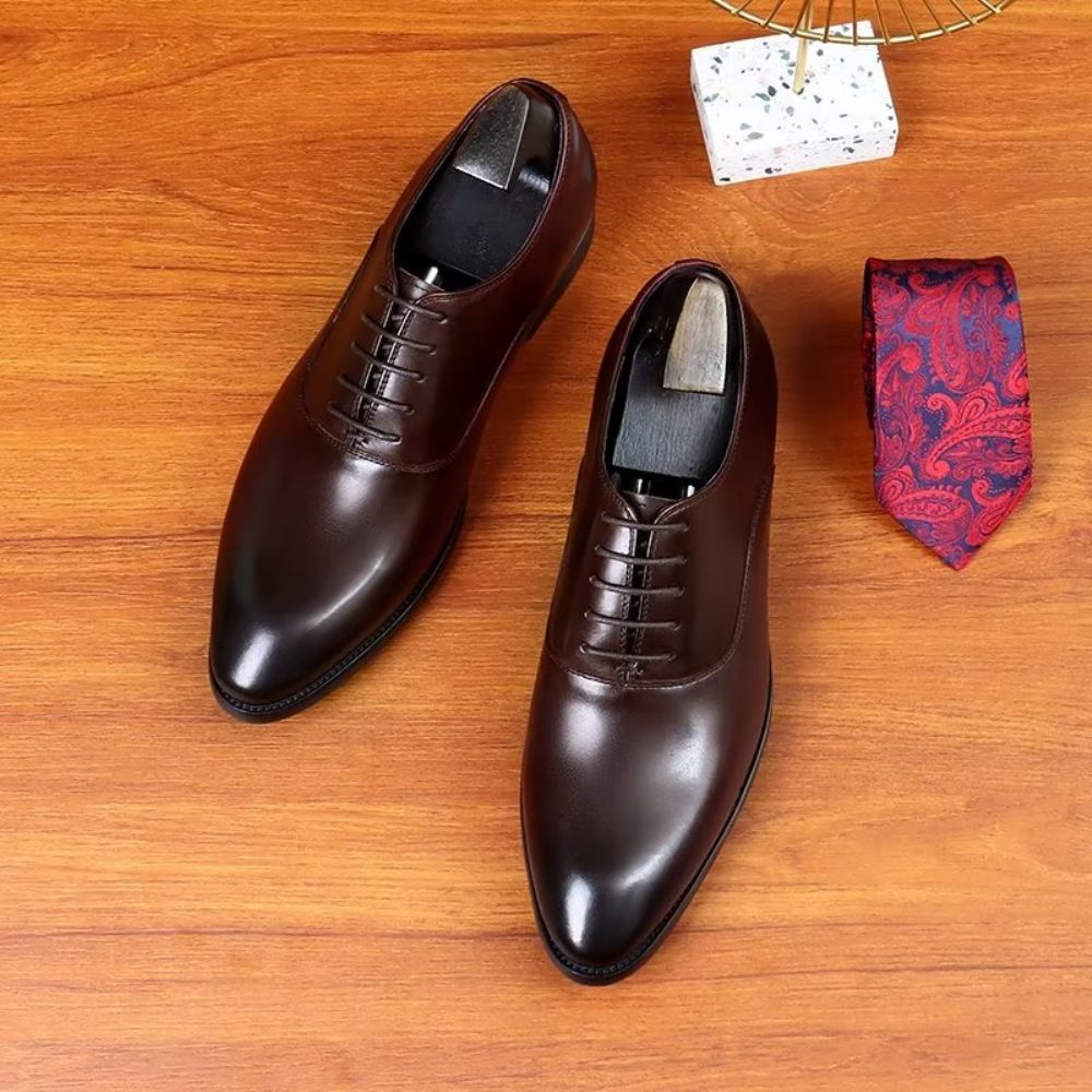 Chaussures Formelles Pour Hommes Habillées Oxford Chics - Café