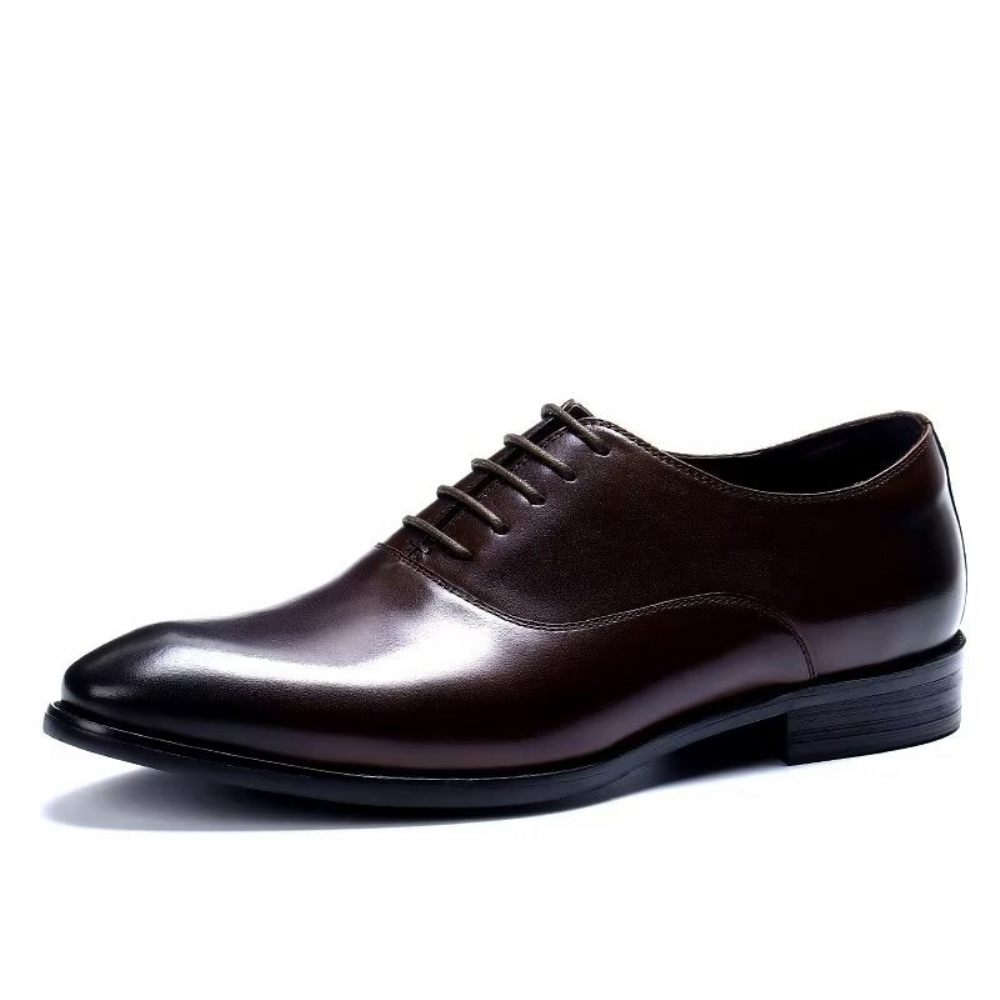 Chaussures Formelles Pour Hommes Habillées Oxford Chics - Café