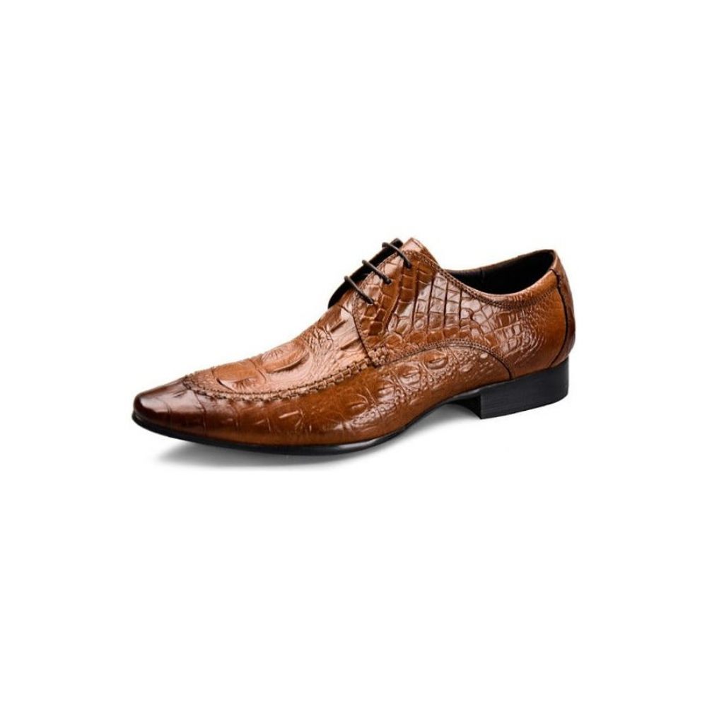 Chaussures Formelles Pour Hommes Habillées Oxford Cuir Crocodile Luxe - Marron