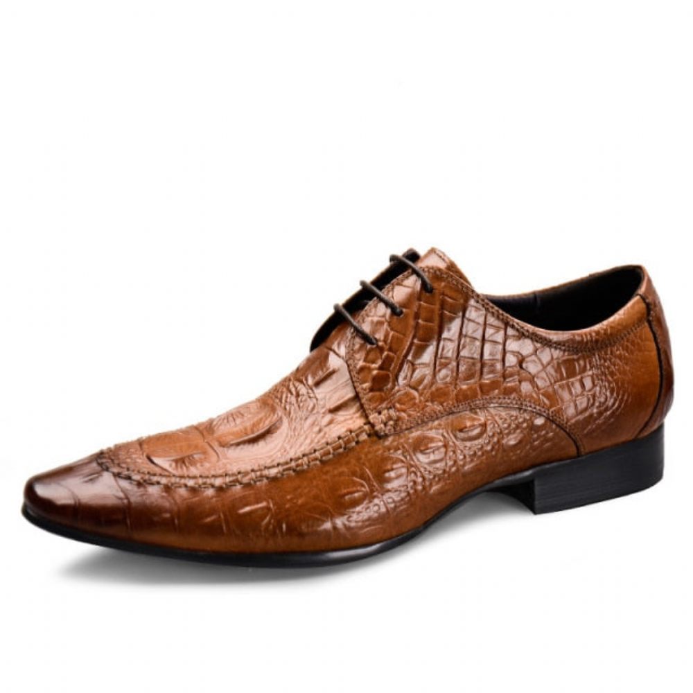 Chaussures Formelles Pour Hommes Habillées Oxford Cuir Crocodile Luxe - Marron