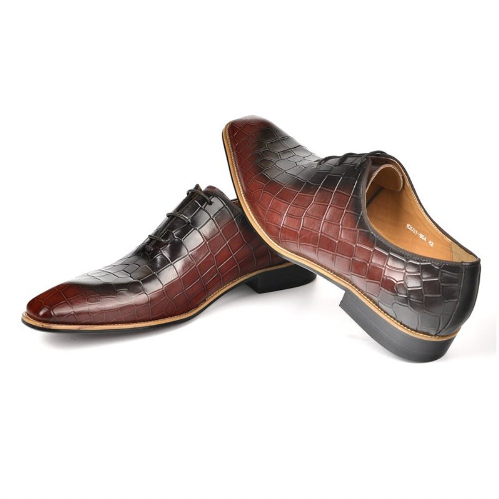 Chaussures Formelles Pour Hommes Habillées Oxford Cuir Gaufré Croco - Café