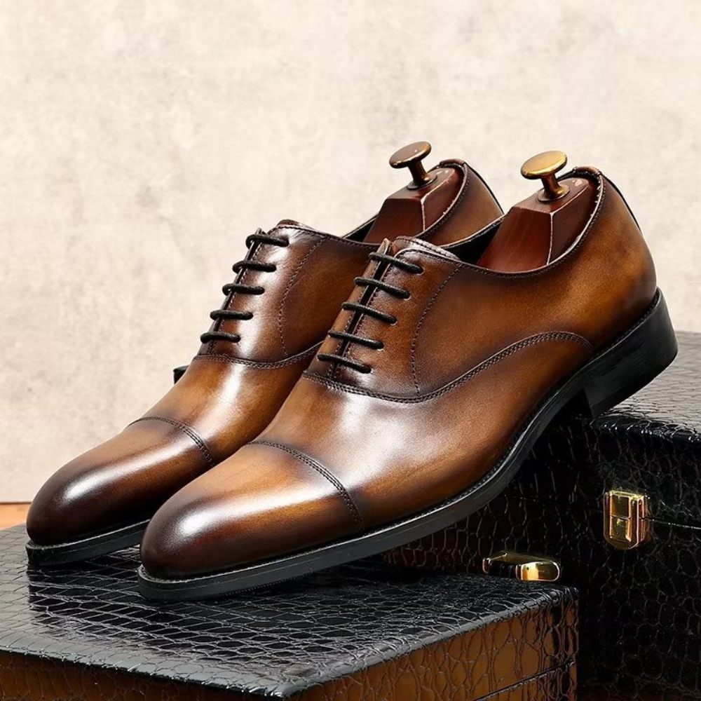 Chaussures Formelles Pour Hommes Habillées Oxford Cuir Vache Opulentes - Café