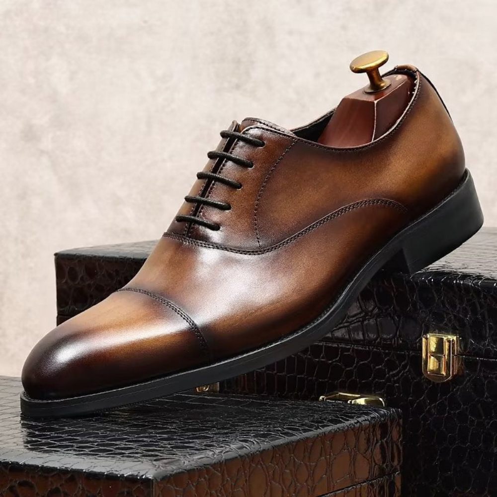 Chaussures Formelles Pour Hommes Habillées Oxford Cuir Vache Opulentes - Café