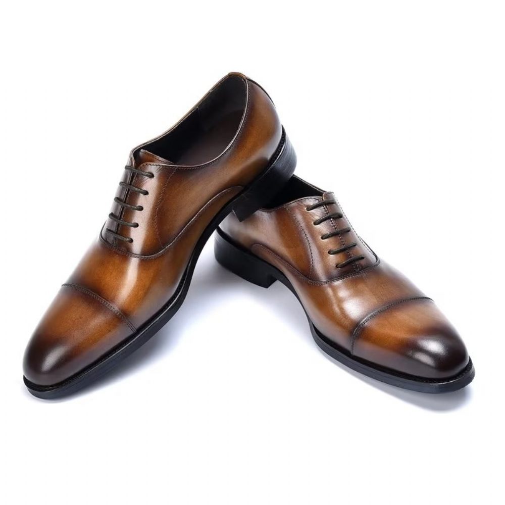 Chaussures Formelles Pour Hommes Habillées Oxford Cuir Vache Opulentes - Café