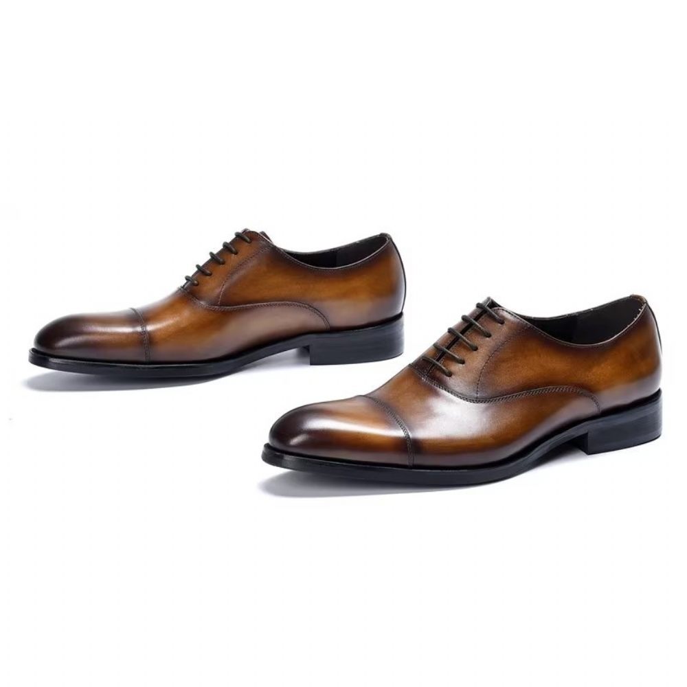 Chaussures Formelles Pour Hommes Habillées Oxford Cuir Vache Opulentes - Café