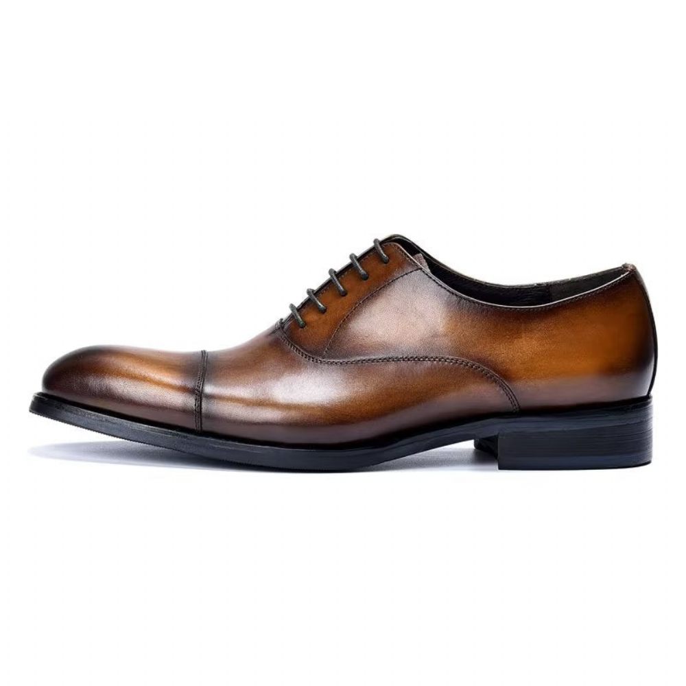 Chaussures Formelles Pour Hommes Habillées Oxford Cuir Vache Opulentes - Café