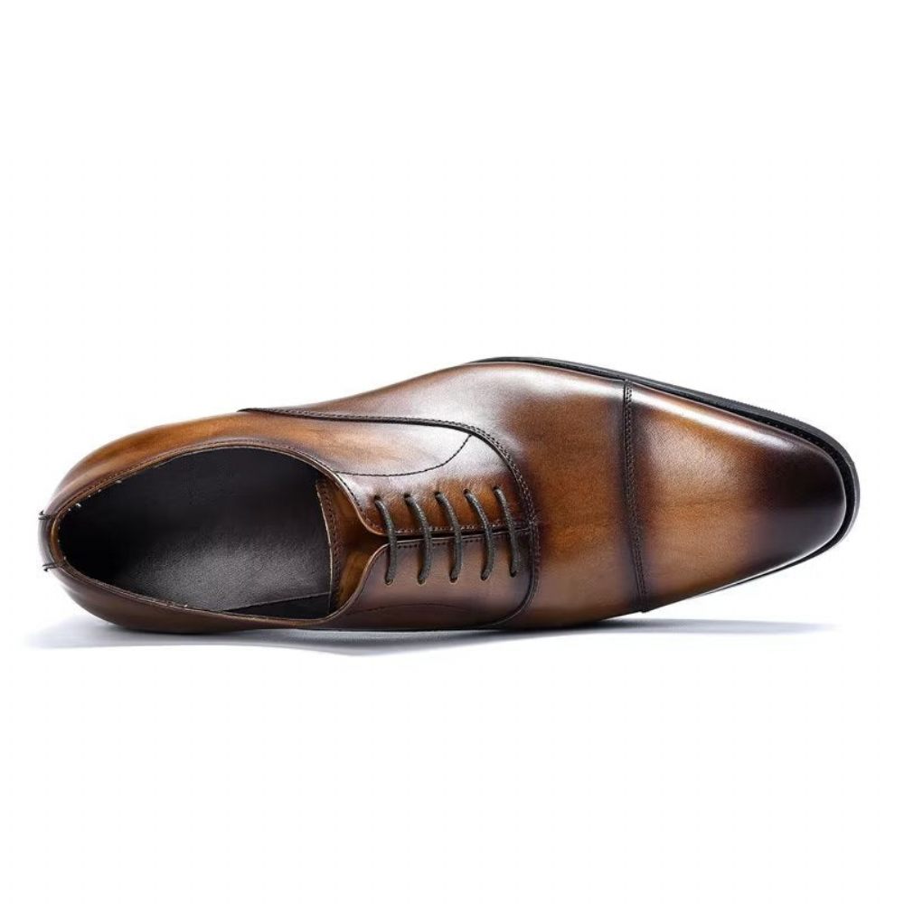 Chaussures Formelles Pour Hommes Habillées Oxford Cuir Vache Opulentes - Café